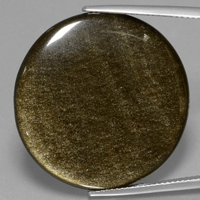 Obsidienne or naturelle coupe roude, 28,16 ct, opaque