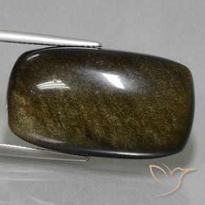 Obsidienne Marron noir naturelle Coussin, 32.35 ct, Opaque