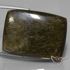 Obsidienne Noir avec reflets dorés naturelle Coussin, 42.34 ct, Opaque