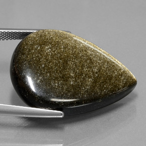 Obsidienne Noir avec reflets dorés naturelle En forme de poire, 27.82 ct, Opaque