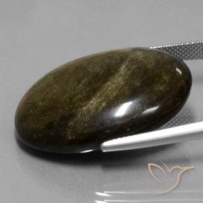 Obsidienne Noir avec reflets dorés naturelle ovale, 32.97 ct, Opaque