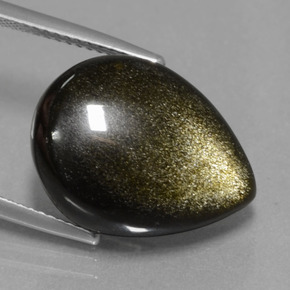 Obsidienne Éclat d'Or naturelle En forme de poire, 11.68 ct, Opaque
