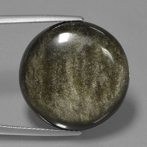 Obsidienne Lustre doré noir naturelle Coupe roude, 20.62 ct, Opaque