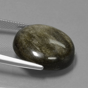 Obsidienne Lustre doré noir naturelle Coupe roude, 20.62 ct, Opaque