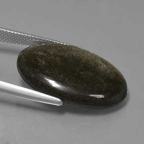 Obsidienne Lustre doré noir naturelle Coupe ovale, 16.64 ct, Opaque