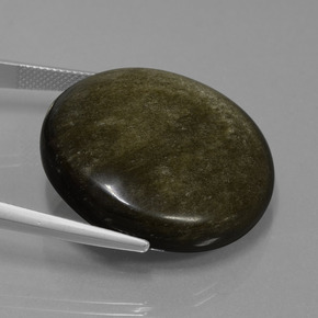 Obsidienne noir naturelle coupe roude, 47,21 ct, opaque