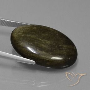 Obsidienne Marron noirâtre naturelle ovale, 31.37 ct, Opaque