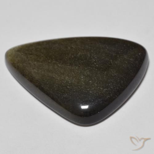 Obsidienne Noir avec reflets dorés naturelle Fantaisie, 24.46 ct, Opaque