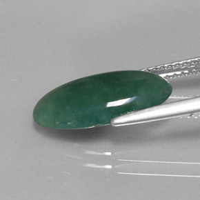 Jade d'omphacite vert naturelle coupe ovale, 3,66 ct, translucide