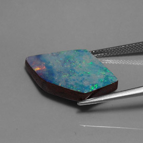 Doublet d'opale multicolore naturelle forme fantaisie, 13,01 ct, opaque