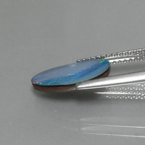 Doublet d'opale multicolore naturelle forme fantaisie, 1,60 ct, opaque