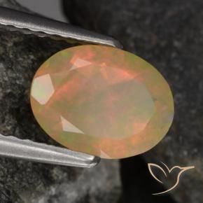 Opale Multicolore naturelle ovale, 0.79 ct, Transparent