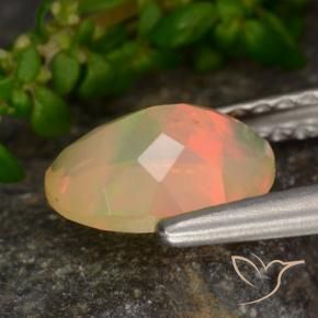 Opale Multicolore naturelle ovale, 0.71 ct, Transparent