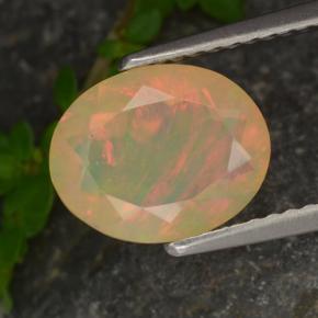 Opale multicolore naturelle coupe ovale, 1,37 ct, translucide