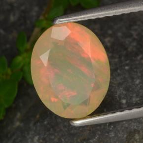 Opale multicolore naturelle coupe ovale, 1,37 ct, translucide