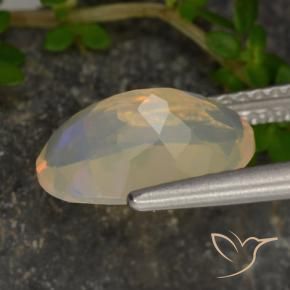 Opale Multicolore naturelle ovale, 1.46 ct, Transparent