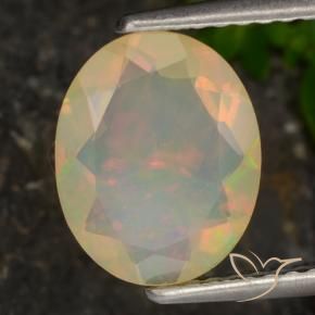 Opale Multicolore naturelle ovale, 1.27 ct, Translucide