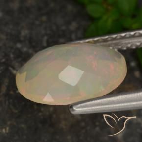 Opale Multicolore naturelle ovale, 1.27 ct, Translucide
