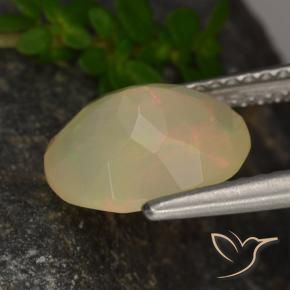 Opale Multicolore naturelle ovale, 1.54 ct, Translucide