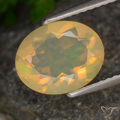 1.54ct Naturel Multicolore Opale, ovale, Transparent
