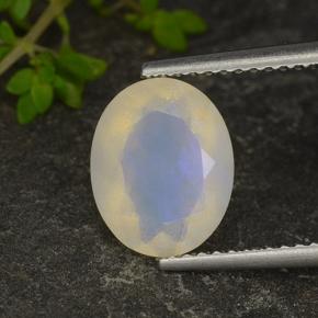 Opale multicolore naturelle coupe ovale, 1,35 ct, translucide