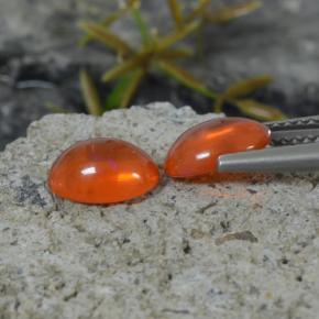 Achetez naturel 1.35ct Orange Opale gems, Coupe ovale, En provenance Ethiopie chez GemSelect. En stock, livraison internationale!