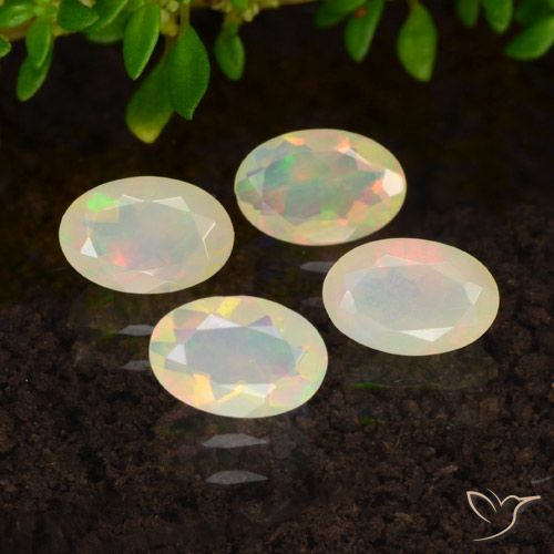 1.23ctw Naturel Multicolore Opale, ovale, Transparent, Photo A