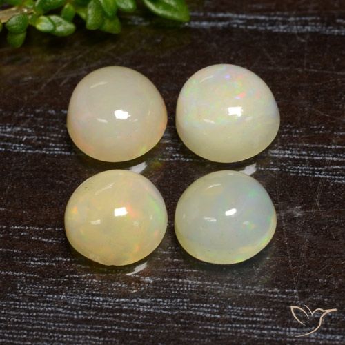 2.70ctw Naturel Multicolore Opale, Tour, Translucide