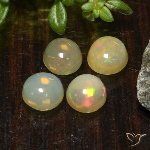 1.45ctw Naturel Multicolore Opale, Tour, Translucide
