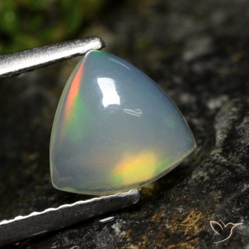 1.00ct Naturel Multicolore Opale, Trillion, Transparent, Photo A
