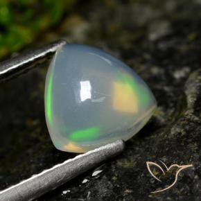 Opale Multicolore naturelle Trillion, 1.00 ct, Transparent