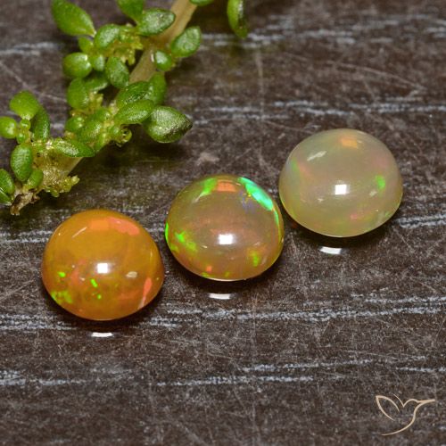 1.34ctw Naturel Multicolore Opale, Tour, Translucide, Photo A