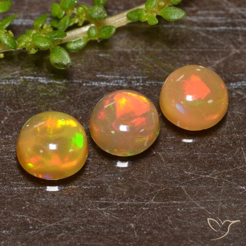 1.93ctw Naturel Multicolore Opale, Tour, Translucide