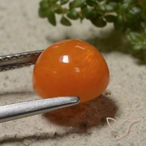 Opale Orange feu naturelle Tour, 1.41 ct, Translucide