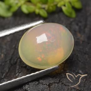 Opale Multicolore naturelle ovale, 1.48 ct, Transparent