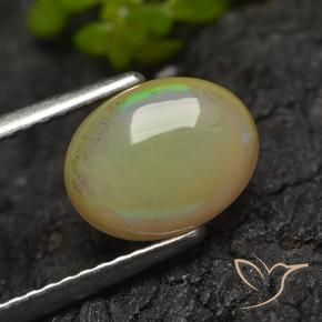 Opale Multicolore naturelle ovale, 1.16 ct, Translucide