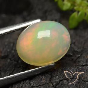 Opale Multicolore naturelle Coupe ovale, 1.44 ct, Translucide