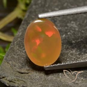 Opale Multicolore naturelle ovale, 0.93 ct, Transparent
