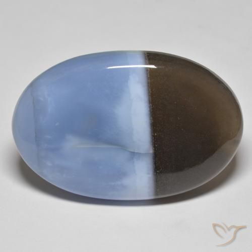 51.46ct Naturel Multicolore Opale, ovale, Opaque