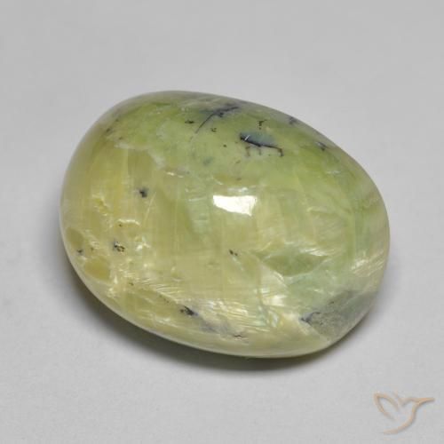 Opale Vert jaunâtre naturelle ovale, 16.50 ct, Opaque