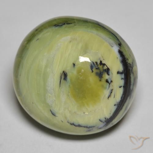 Opale Vert moyen naturelle ovale, 24.39 ct, Opaque