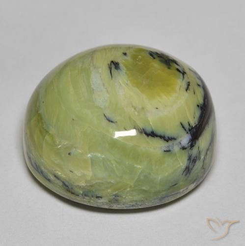 Opale Vert moyen naturelle ovale, 24.39 ct, Opaque