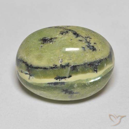 11.81ct Naturel Vert terre Opale, ovale, Opaque