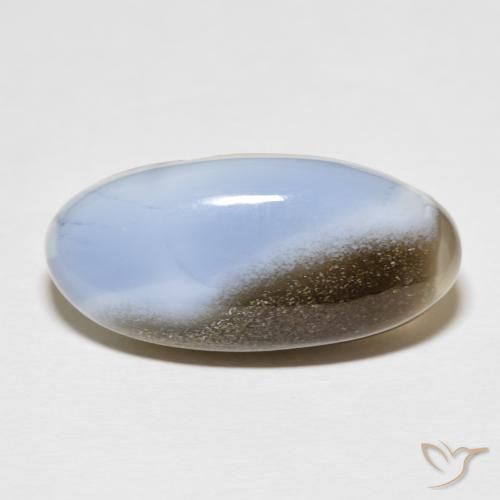 Opale Multicolore naturelle ovale, 22.31 ct, Opaque