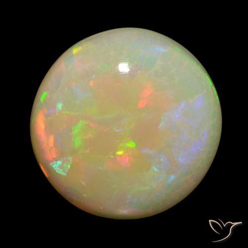 26.71ct Multicolore Opale, Tour, Opaque