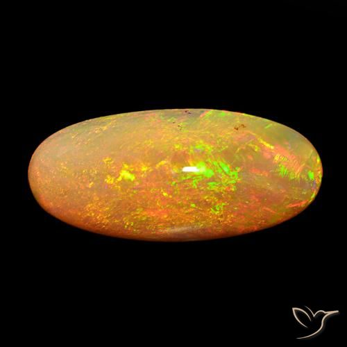 13.59ct Multicolore Opale, ovale, Opaque