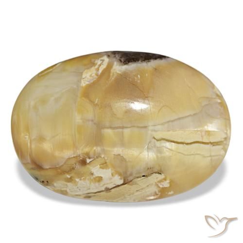 Opale doré de 31,48 ct, ovale, opaque