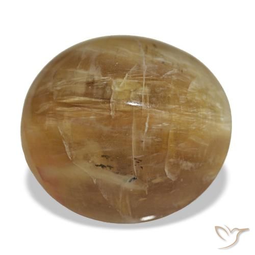 Opale marron naturelle coupe ovale, 8,17 ct, opaque