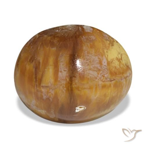 Opale marron naturelle coupe ovale, 5,76 ct, opaque