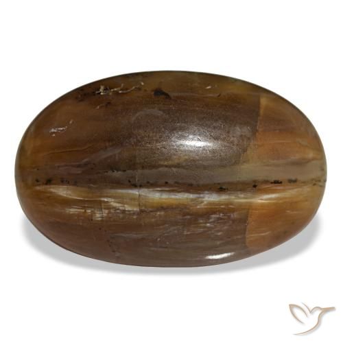 Opale marron de 26,12 ct, ovale, opaque